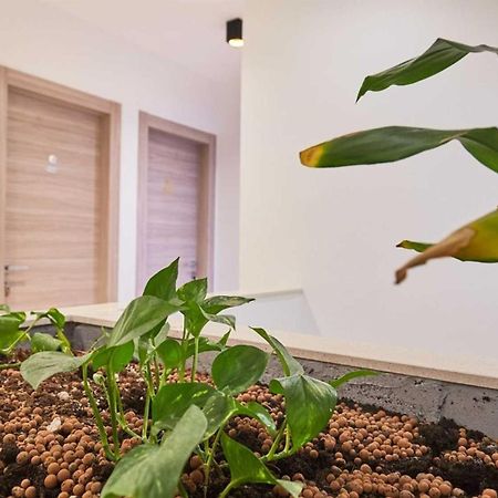 Boutique Garden Rooms Дубровник Екстериор снимка